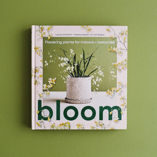 Bloom