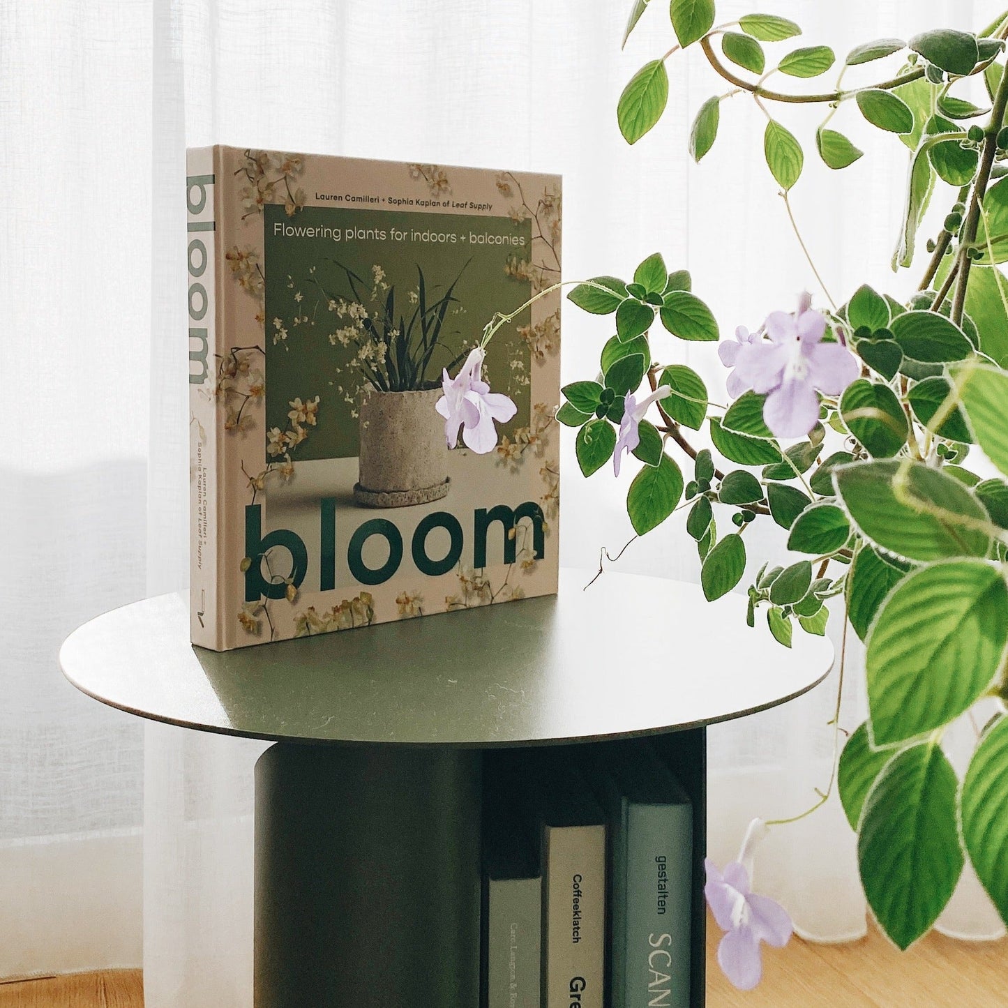 Bloom