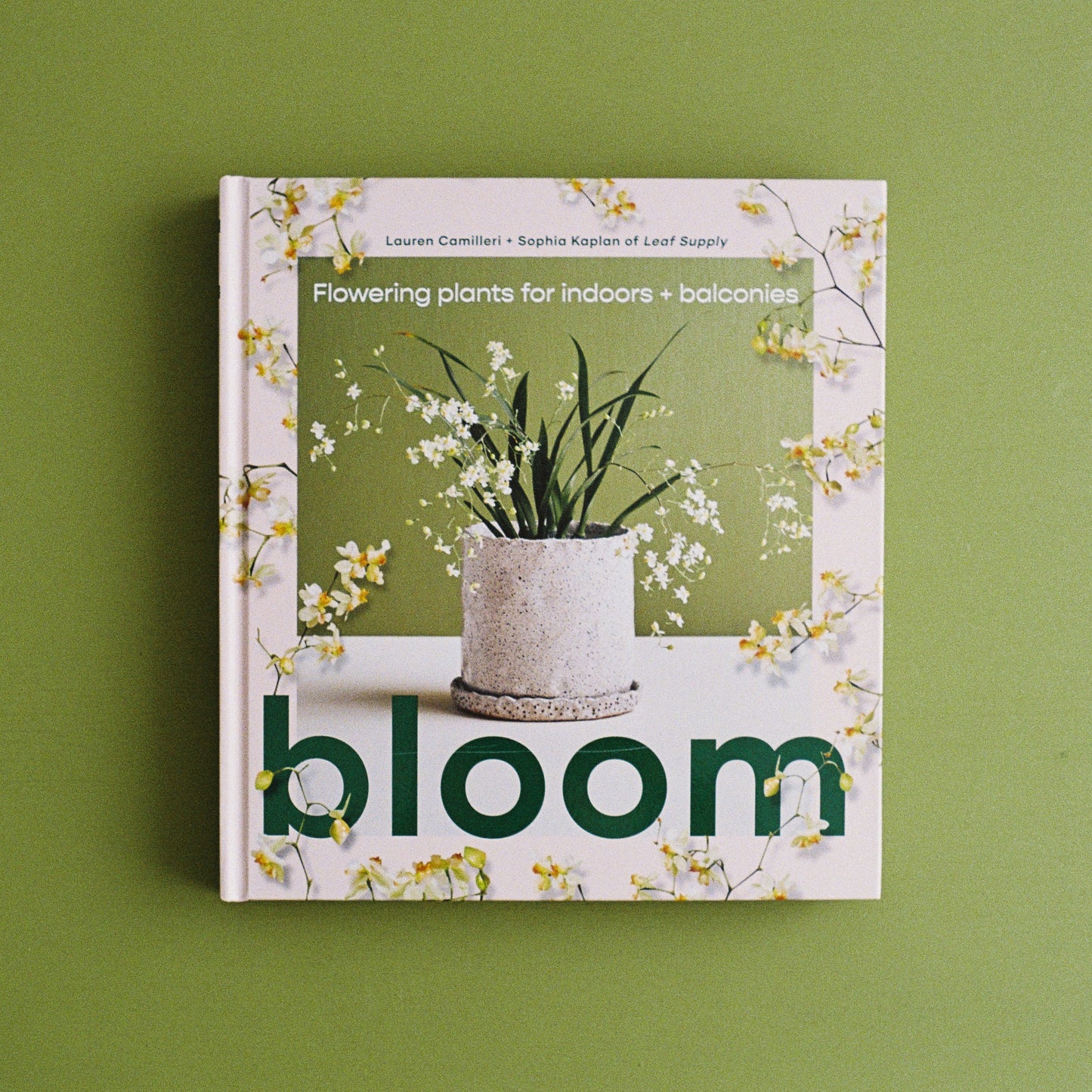 Bloom