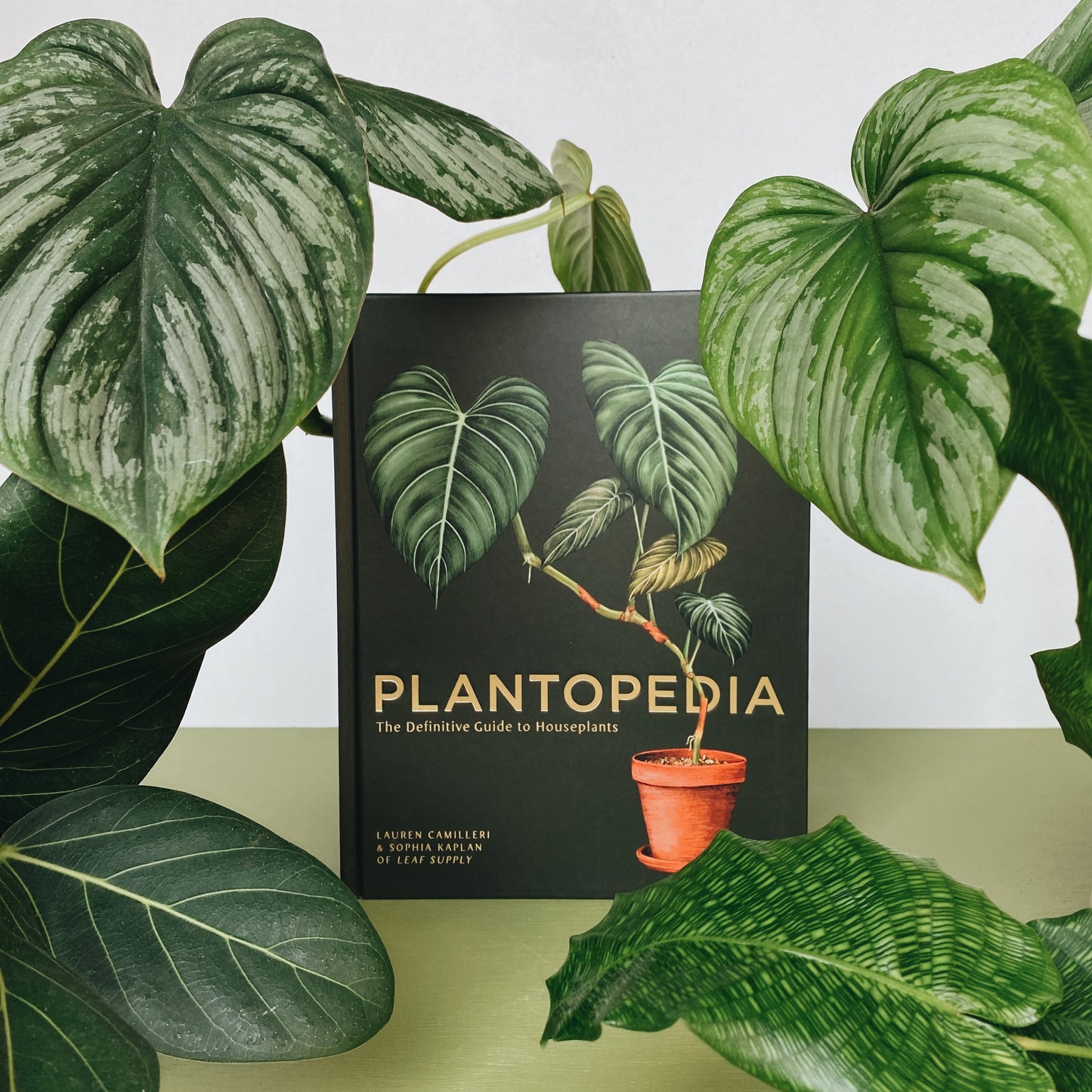 Plantopedia