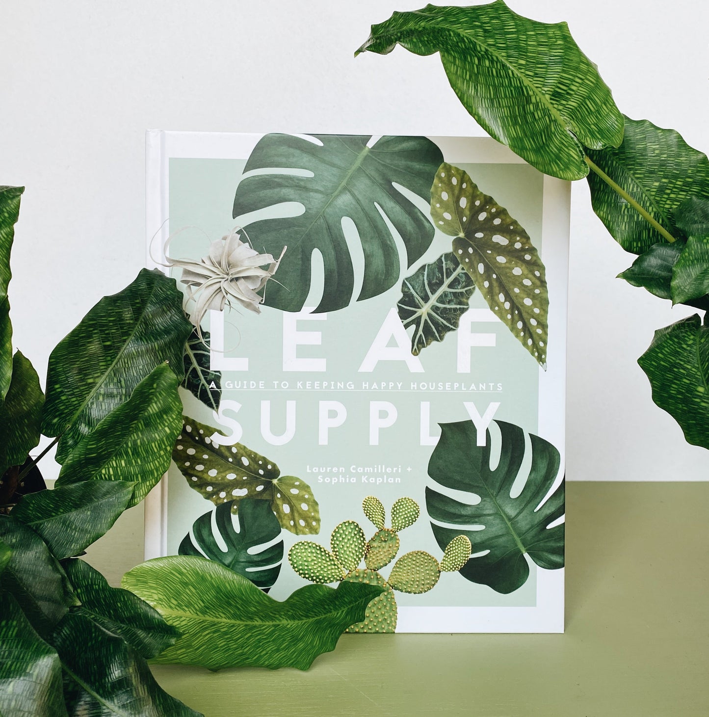 Leaf Supply